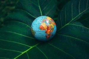 globe terrestre sur des feuilles tropicales vertes photo