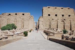 murs des temples en egypte photo