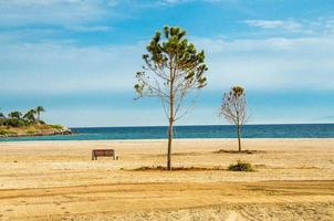 plage de sable avec arbres et banc sur la rive du golfe d'athènes, grèce photo