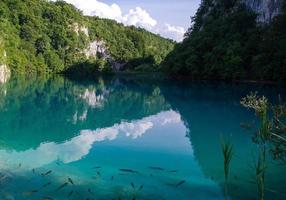 lac aux eaux turquoises claires, parc national des lacs de plitvice, croatie photo