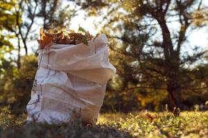 jeune garçon ramasse les feuilles mortes en automne photo