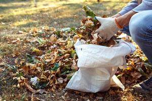 jeune garçon ramasse les feuilles mortes en automne photo