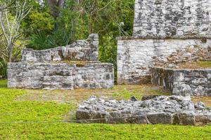 ancien site maya avec temple ruines pyramides artefacts muyil mexique. photo