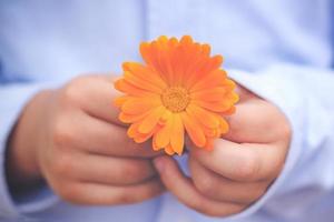 mains d'enfant avec une fleur photo