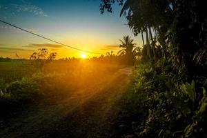 coucher de soleil rural en indonésie avec arbres, chemin et lumière du soleil photo