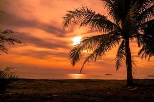 coucher de soleil sur la plage tropicale avec ciel orange photo