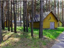 maison en bois dans les bois la forêt photo