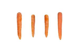 carottes isolées en position verticale sans feuilles