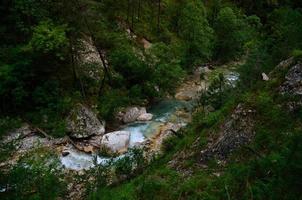 ruisseau sauvage dans la nature photo