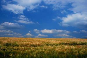 champ ciel et nuages photo