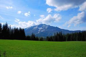 prairie verte avec haute montagne photo