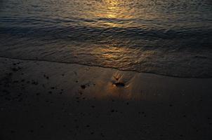 surfer en vacances photo