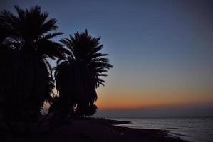 lever du soleil avec des palmiers en egypte photo