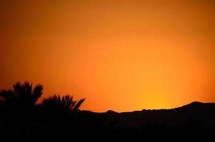 coucher de soleil avec montagne et palmiers dans le désert photo
