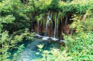 une photo de poissons nageant dans un lac, prise dans le parc national de plitvice en croatie.