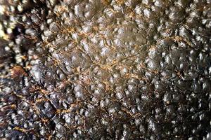 gros plan sur une texture de cuir sous un microscope. photo