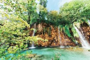 une photo de poissons nageant dans un lac, prise dans le parc national de plitvice en croatie.