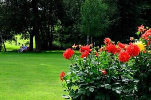 Kurpark avec des gens et des fleurs photo