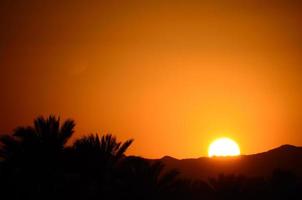 coucher de soleil lumineux avec palmiers photo