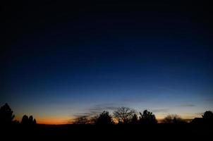 heure bleue avec arbres et arbustes photo