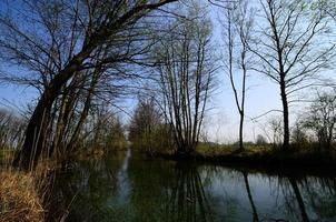 paysage fluvial dans la nature photo