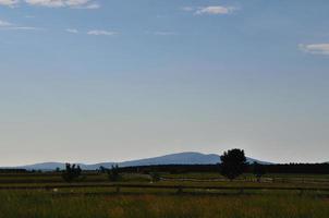 paysage pré et clôture photo