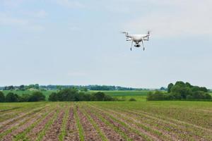 drone quad copter avec appareil photo numérique haute résolution sur champ de maïs vert