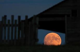 pleine lune vue à travers la fenêtre de l'ancien bâtiment photo