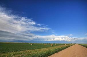 Balles de foin dans le champ à côté de la route de campagne de la Saskatchewan photo