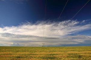 Lignes hydroélectriques sur un champ de la Saskatchewan photo