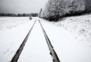 journée d'hiver dans les collines de cyprès de la saskatchewan photo