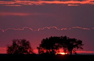 coucher de soleil derrière les arbres photo