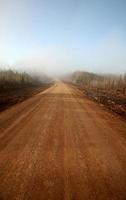 Misty Morning Road au printemps en Saskatchewan photo