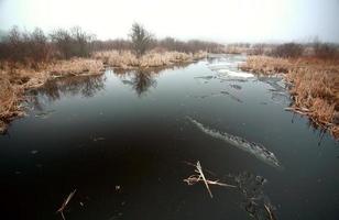 lac matin brumeux au printemps saskatchewan photo