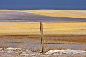 collines enneigées saskatchewan photo