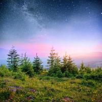 randonnée des étoiles laitières dans les bois. scène dramatique et pittoresque. fantastique ciel étoilé et la voie lactée photo