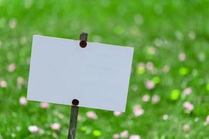 assiette sur fond de pelouse verte. place pour le texte. photo