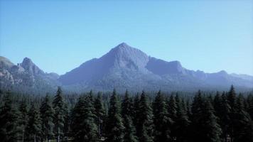 montagnes majestueuses avec premier plan forestier au canada photo