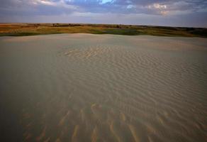 Dune de sable à Great Sand Hills dans la pittoresque Saskatchewan photo