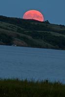 pleine lune sur le lac de la fourrière à bisons photo