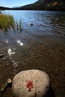 feuille sur rocher à twin lakes dans la pittoresque ville de l'alberta photo