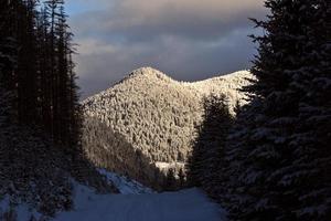 montagnes rocheuses en hiver photo