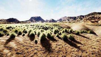 paysage désertique dans le parc national du cratère photo