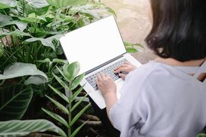 femme indépendante créative utilisant un ordinateur portable dans un café avec une plante d'intérieur, femme d'affaires en ligne travaillant sur un ordinateur portable assis à l'intérieur d'un café. travail sur ordinateur portable et communication en ligne photo