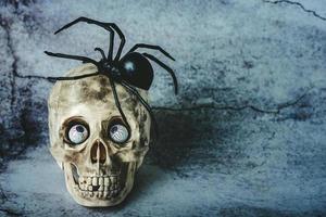 fond de concept d'halloween. crâne d'halloween drôle avec des yeux en chocolat et une araignée sur le dessus avec espace de copie photo