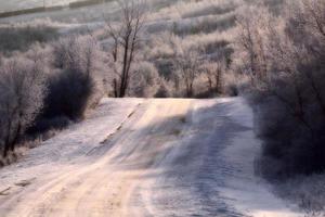 route jusqu'au lac Buffalo pound en hiver photo