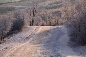route vers le lac de la fourrière à bisons en hiver photo