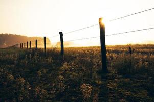 clôture sur les terres agricoles photo