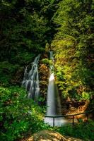 cascade naturelle dans la forêt photo