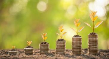 pile de pièces avec une jeune pousse verte sur le dessus. succès commercial, concept de croissance financière ou monétaire photo